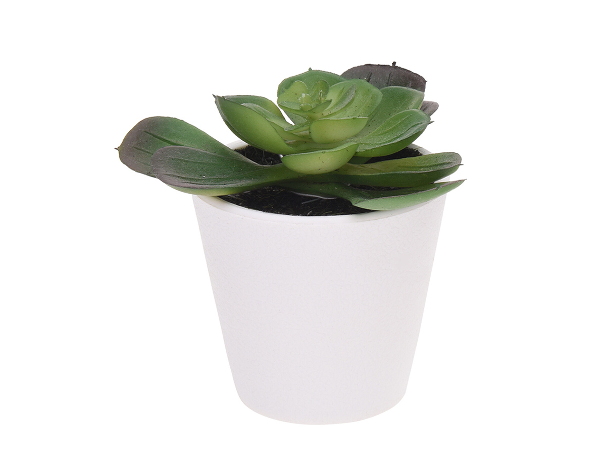 Растение искусственное Succulent
