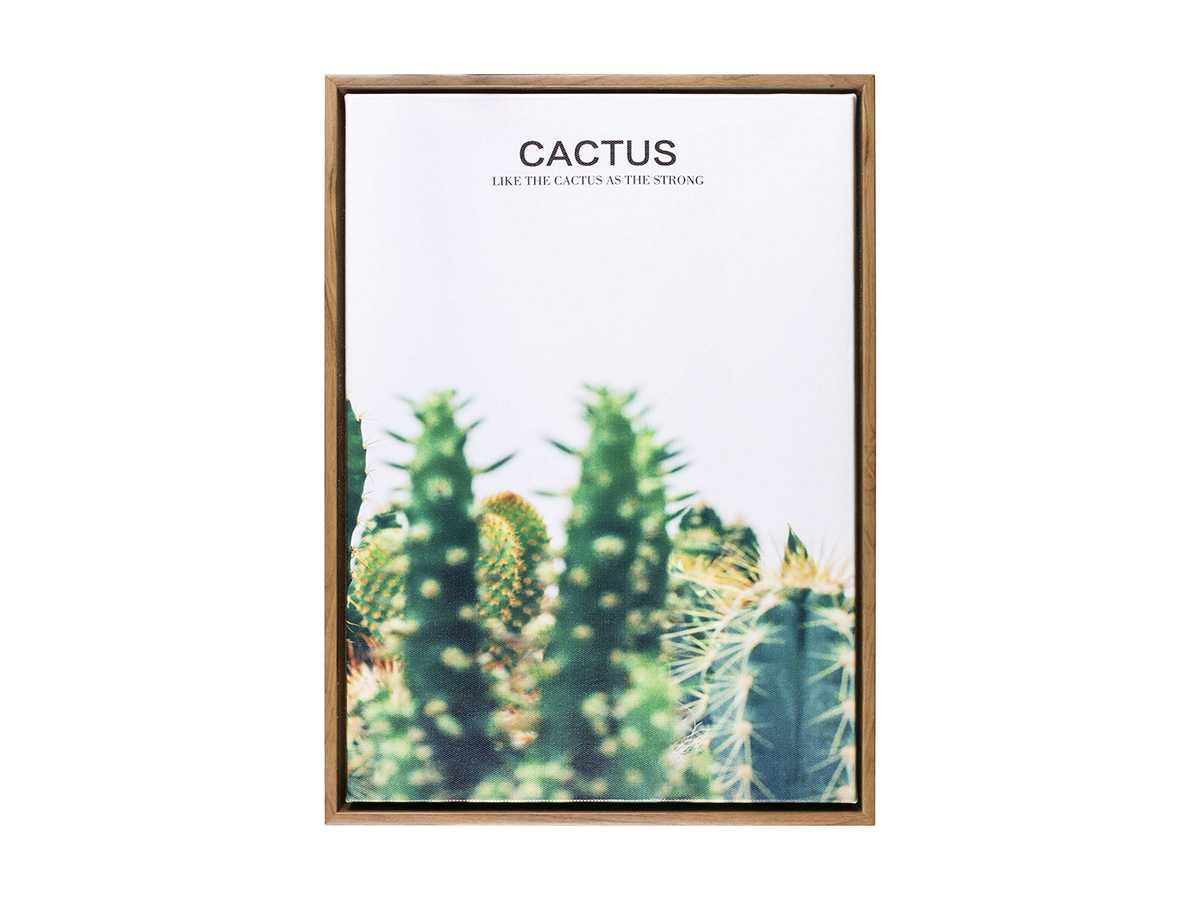 Картина Kaktus 30х40см