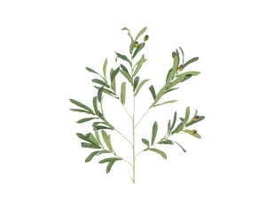 Цветок искусственный Олива 98 см