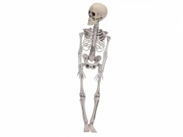 Декорация Skeleton