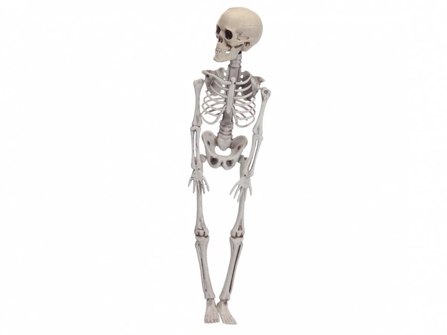 Декорация Skeleton (изображение №1)