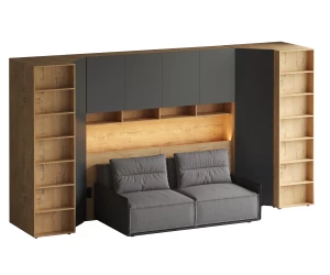 Композиция Modus 79