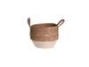 product-color-205124