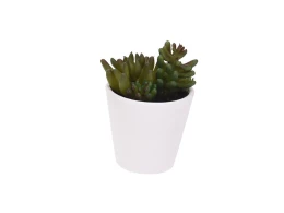 Растение искусственное Succulent