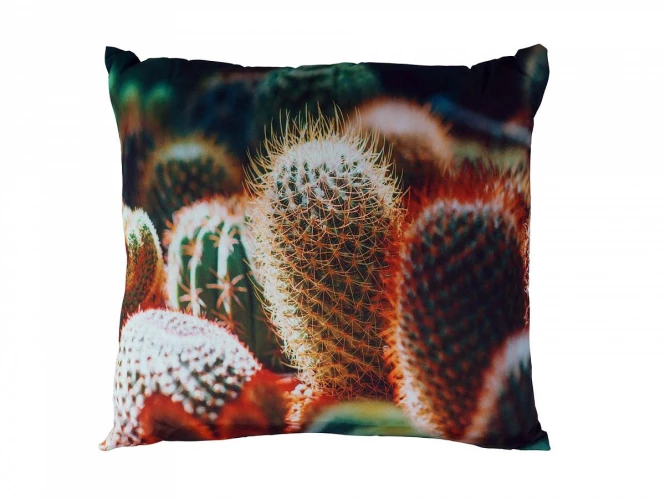 Подушка Cactus (изображение №1)