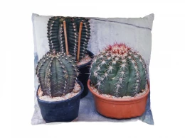 Подушка Cactus