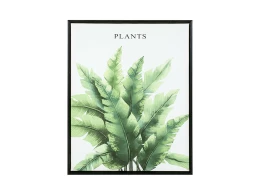 Картина Plant 40х50см