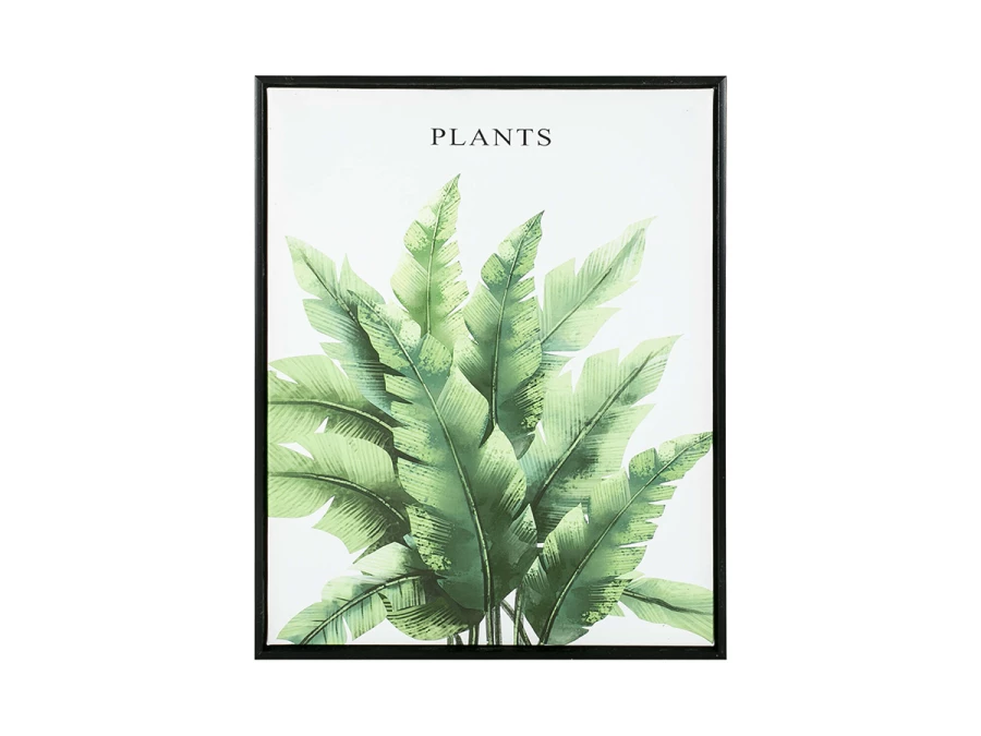 Картина Plant 40х50см (изображение №1)