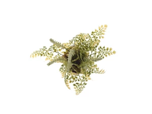 Второе фото. Цветочная композиция в конверте24 см