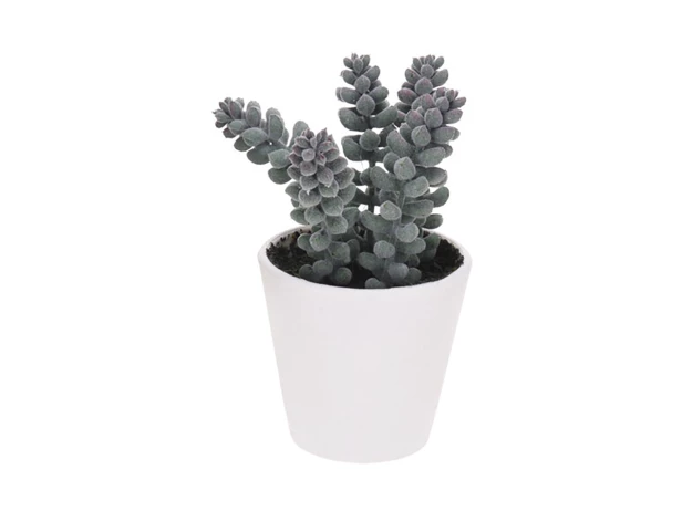 Растение искусственное Succulent (изображение №2)