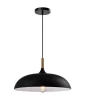 Подвесной светильник Moderli V1331-P Hygo 1*E27*60W (изображение №1)