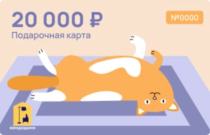 Подарочная карта на 20 000 руб. (дизайн Рыжий кот)