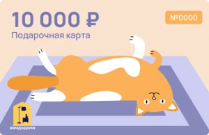 Подарочная карта на 10 000 руб. (дизайн Рыжий кот)